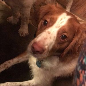 Meet your Posher, Maggie